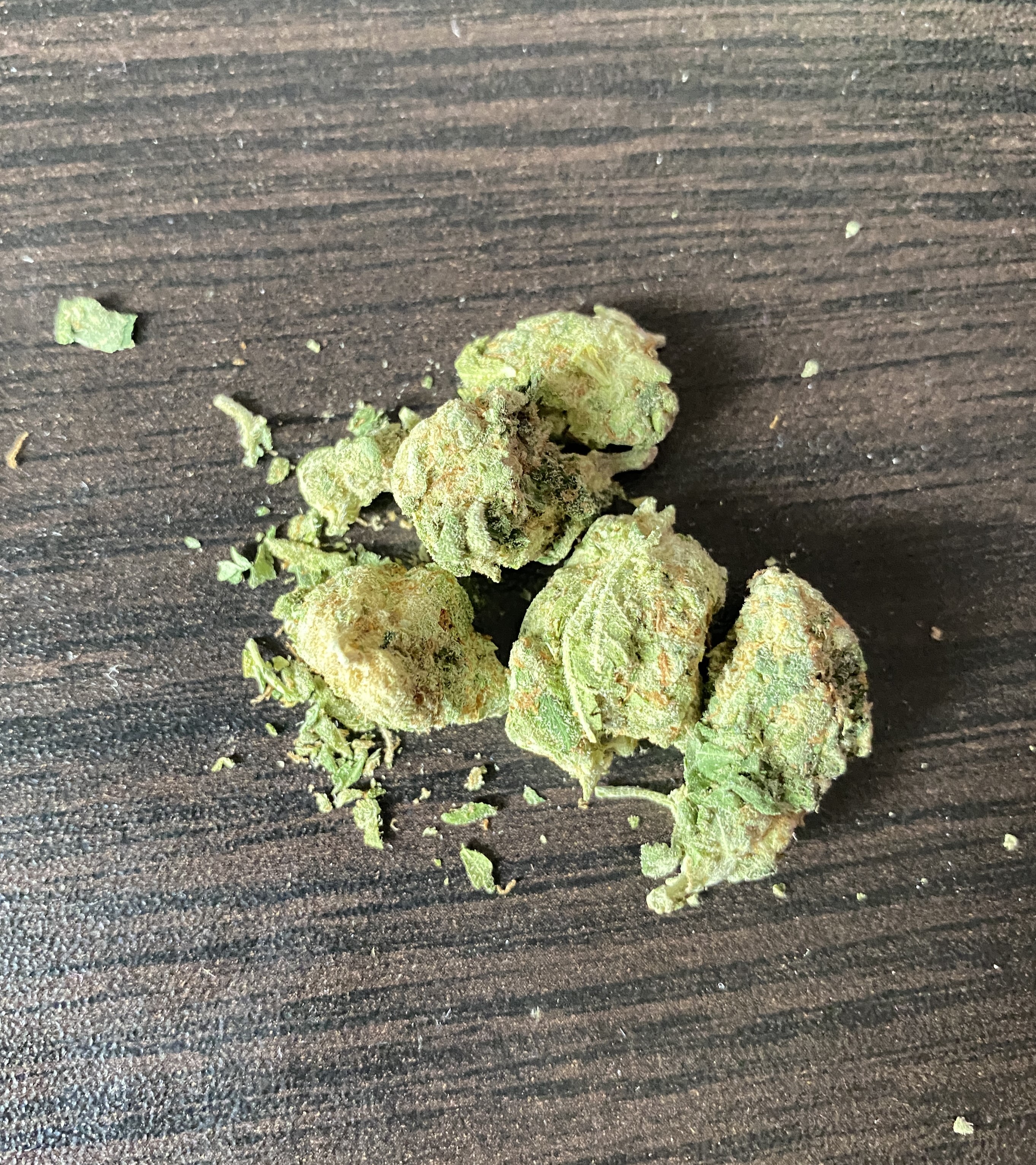 1 — копия.JPG