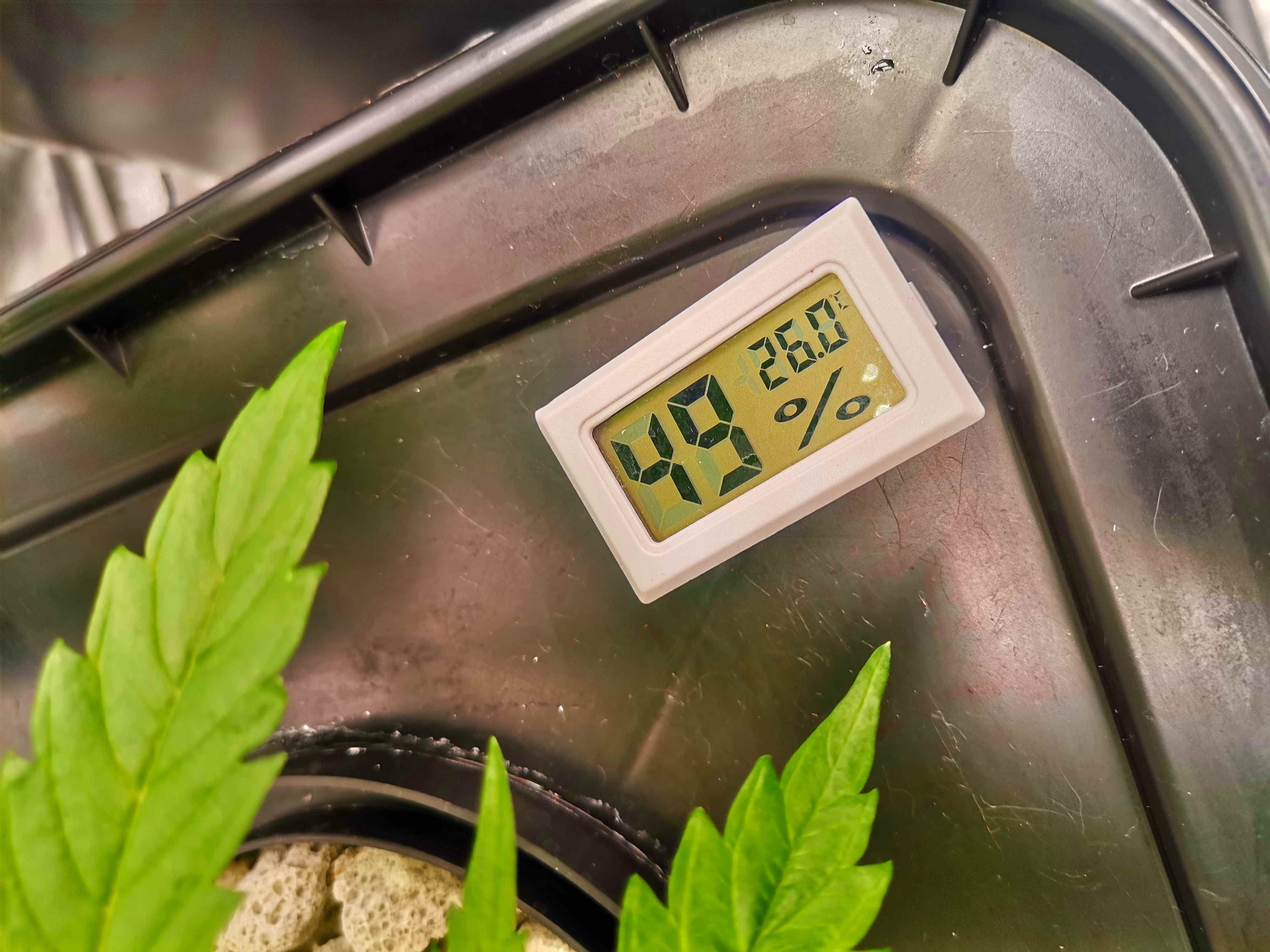 Beyond the Brain1.jpg