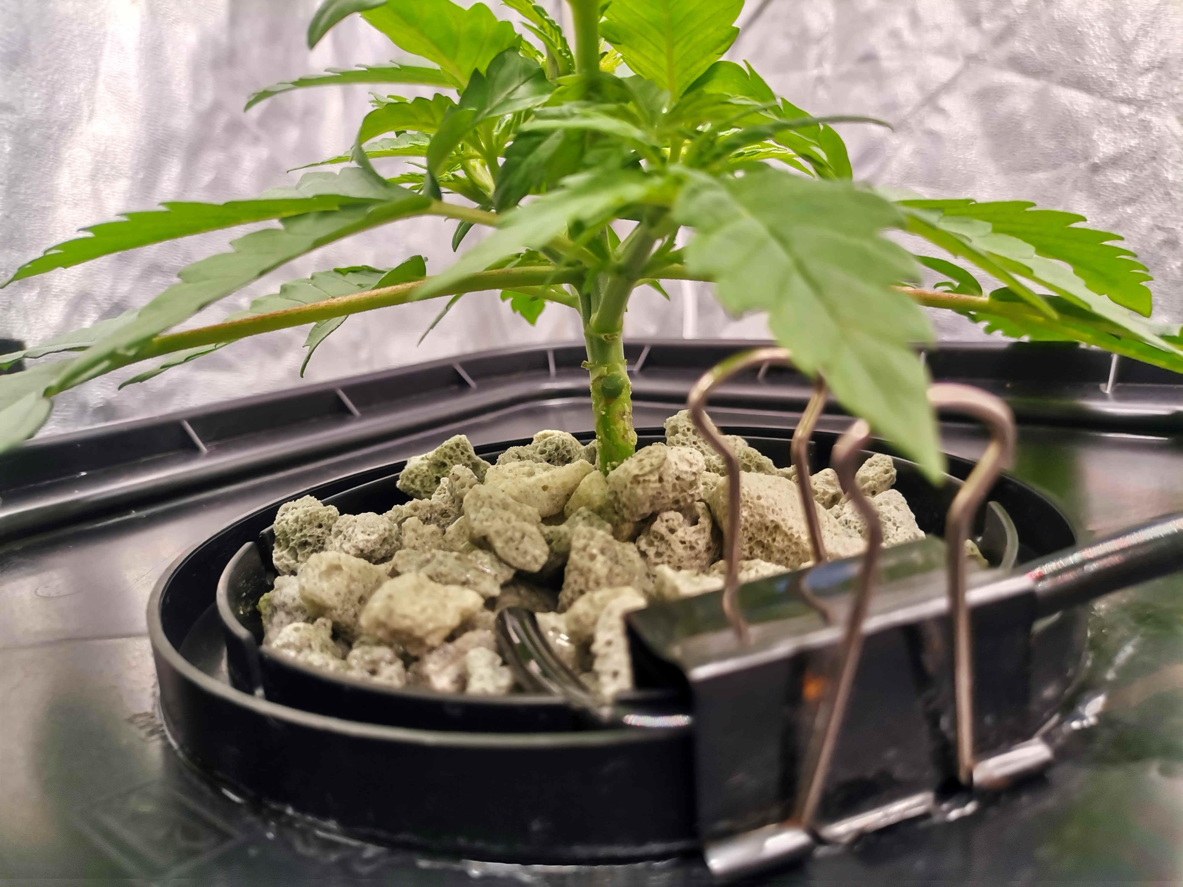 Beyond the Brain7.jpg