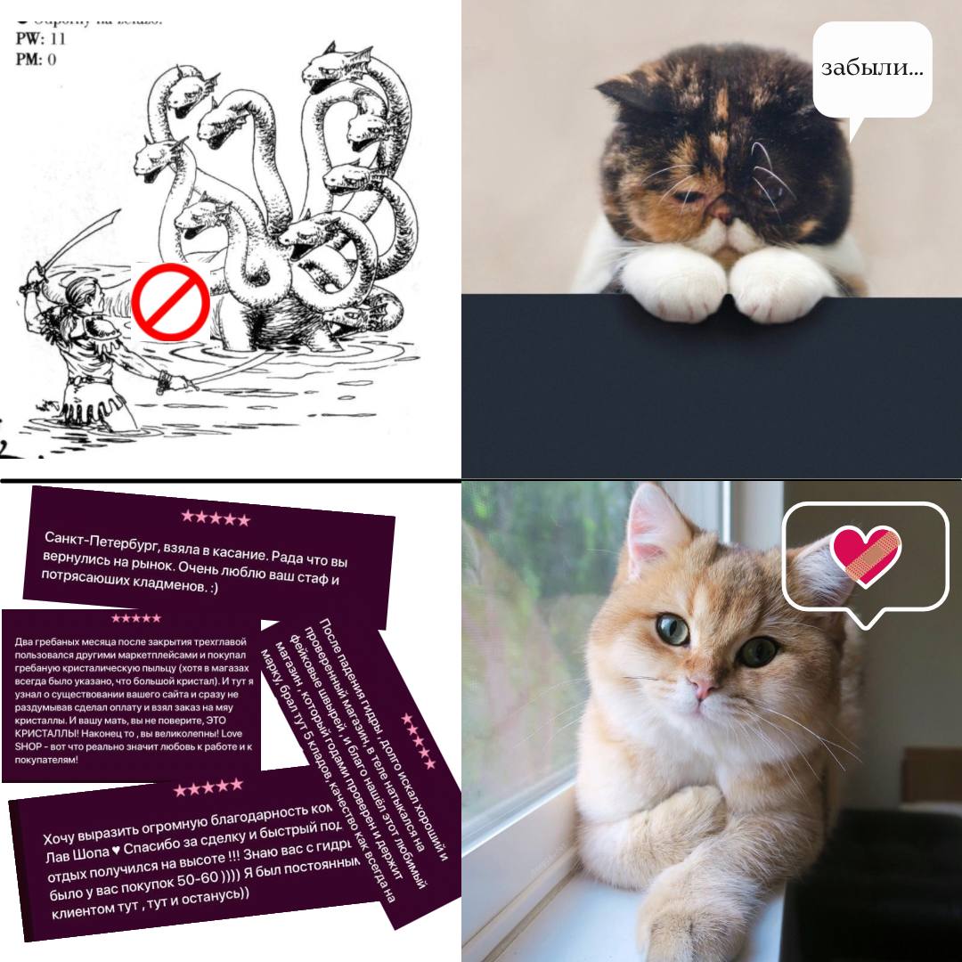 photo_2022-05-15 06.01.51.jpeg