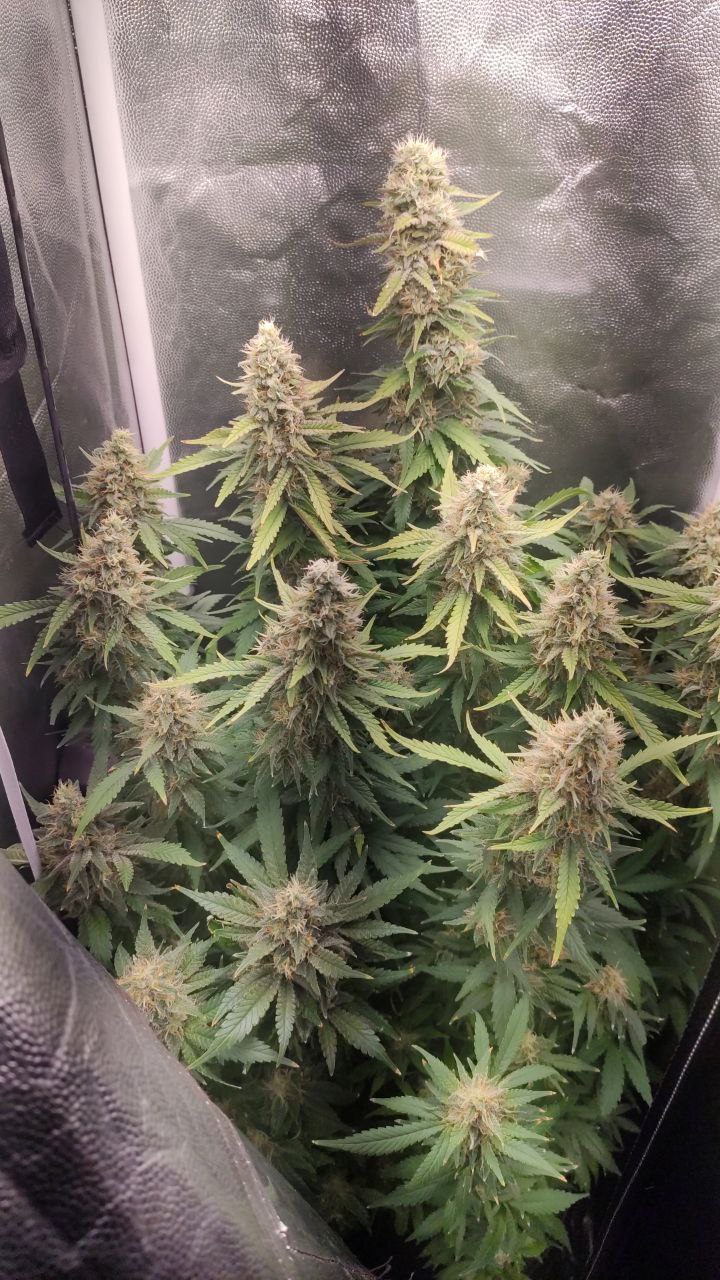 photo_2022-05-17 09.55.44.jpeg