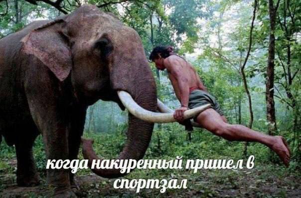 photo_2022-06-18 23.26.04.jpeg