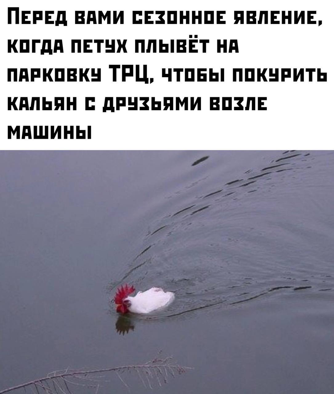 photo_2022-06-18 23.46.41.jpeg