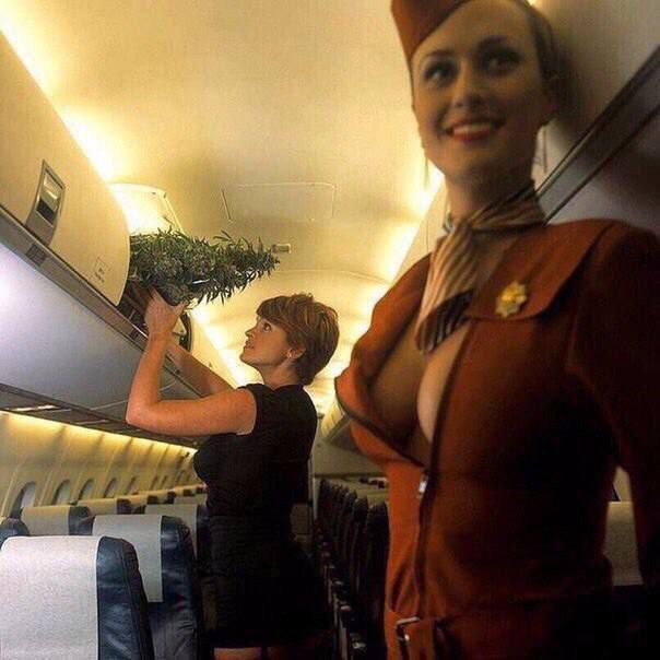 photo_2022-06-18 23.53.37.jpeg