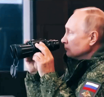 putin-vladimir-putin (1).gif