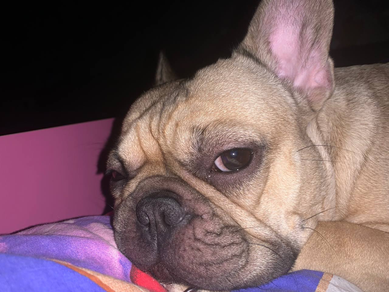 Спать, ёптабля.JPG