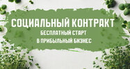 Социальный контракт – бесплатный старт в прибыльный бизнес.jpg
